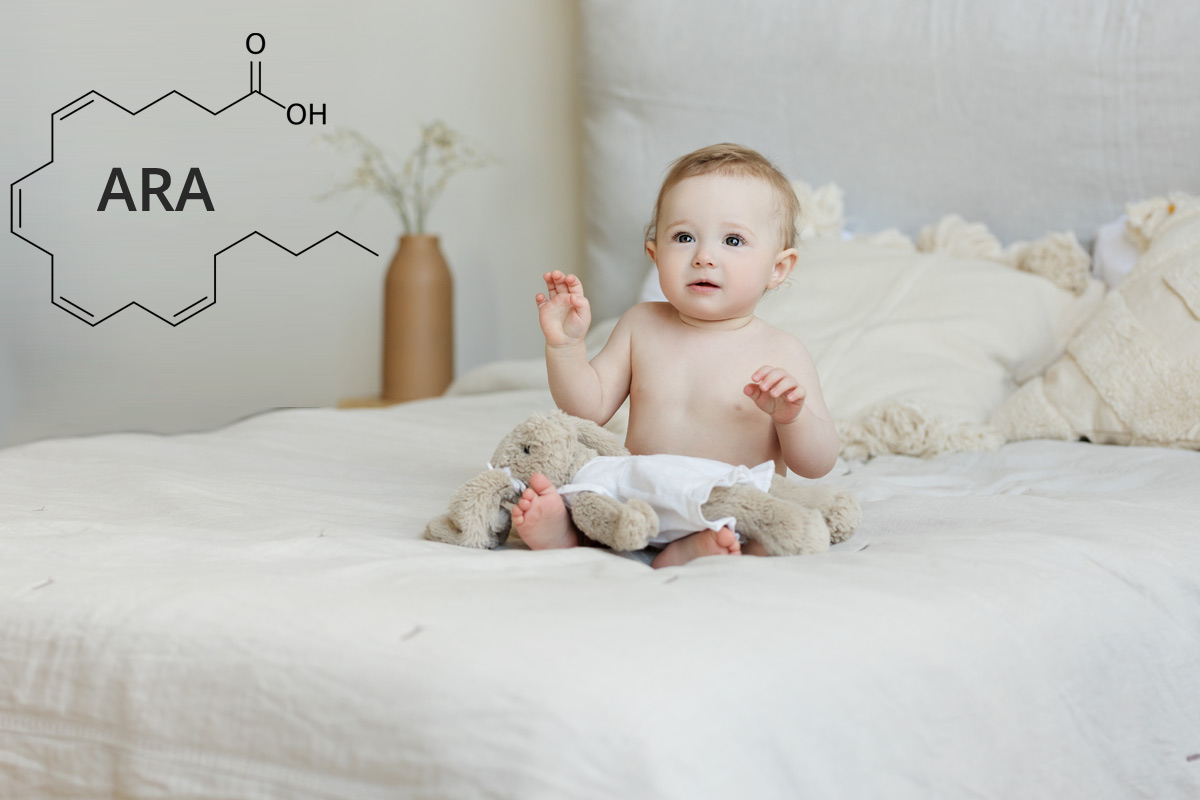 ara in baby formula guide