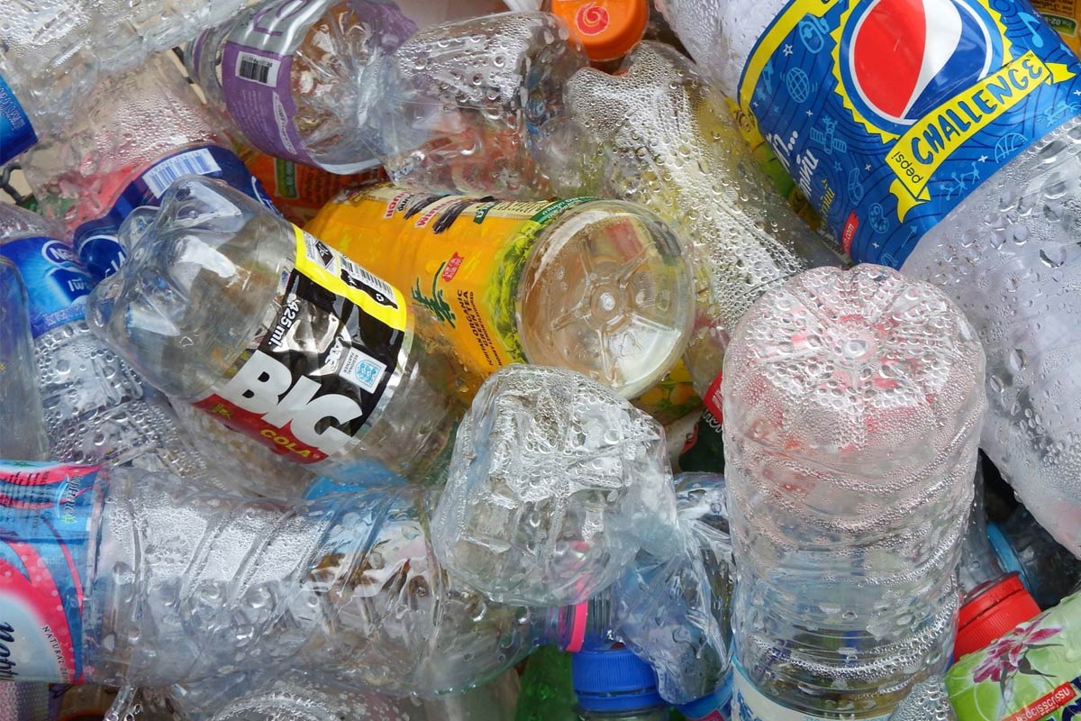 Dangers of plastics phthalates during pregnancy